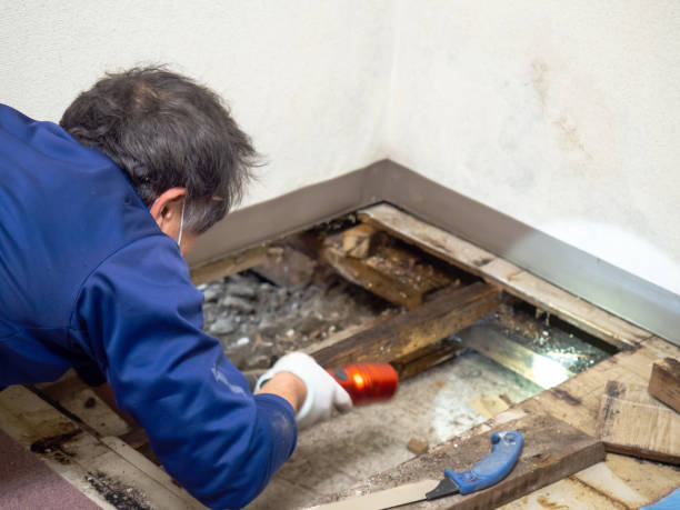Water Damage Restoration in Timberlake, VA