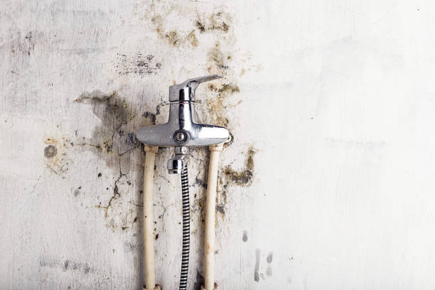 Timberlake, VA Mold Removal Company