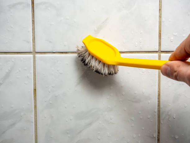 Best Local Mold Removal Service  in Timberlake, VA
