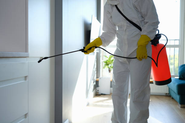 Best Toxic Mold Removal  in Timberlake, VA