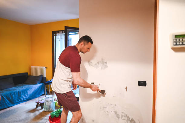 Best Black Mold Removal  in Timberlake, VA